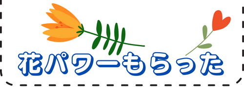 花パワーもらった